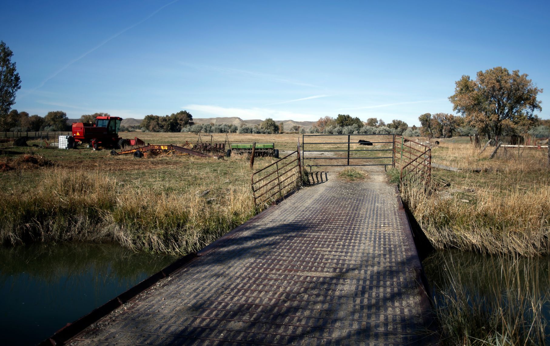 Laurel land purchase